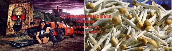 гидропоника Алзамай