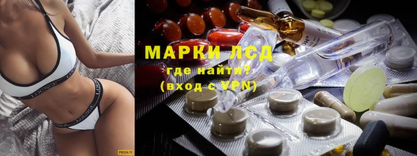 гидропоника Алзамай