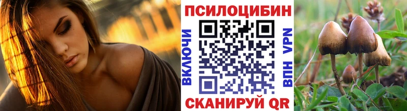 закладки  Верхоянск  Галлюциногенные грибы прущие грибы 
